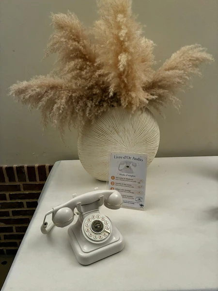 Livre d'or audio TM'Z Events - Téléphone vintage pour messages vocaux de vos invités